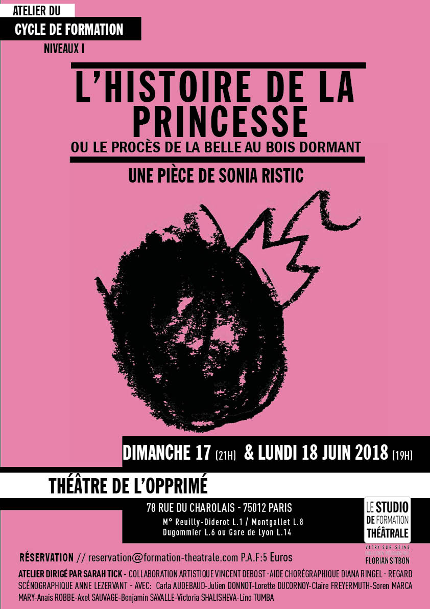L’Histoire de la Princesse ou Le Procès de la Belle au Bois Dormant